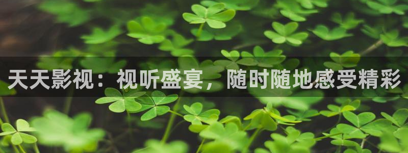 日本午夜电影福利