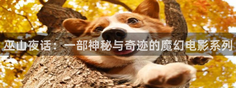 八哥午夜电影