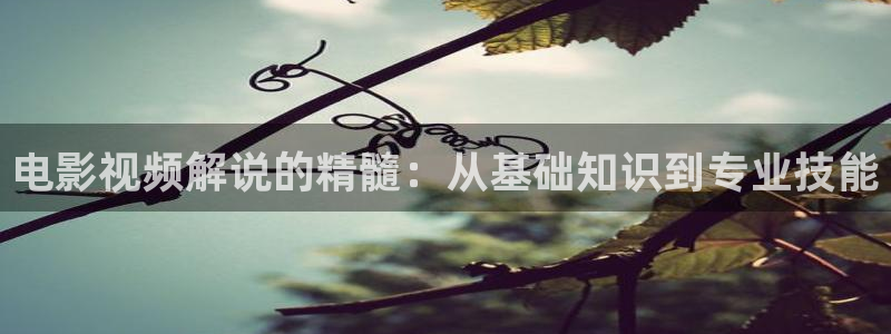 神马老子午夜电影网