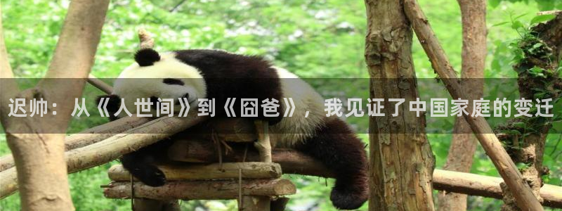 午夜黄色精品电影