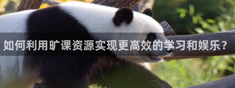 97影院午夜免费观看
