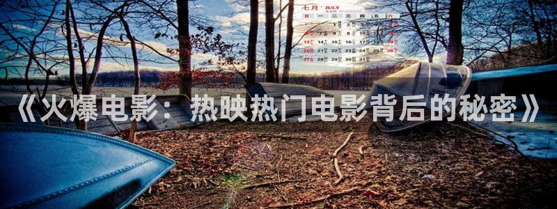 午夜电影网西瓜影院