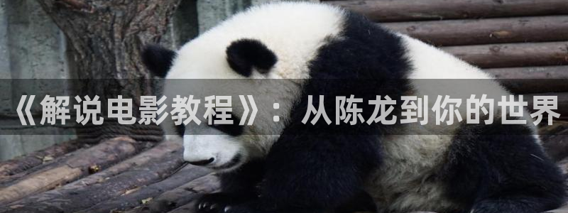 夫妻午夜电影网