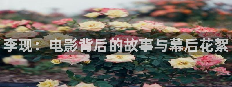 午夜看片app免费