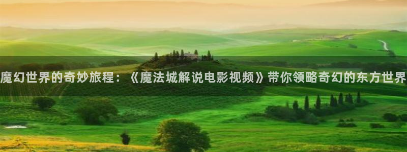 久久午夜理伦片