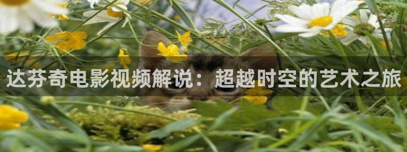 午夜电影100