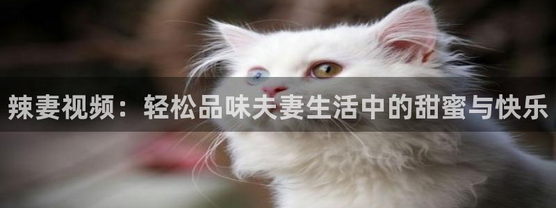 6080午夜理论大片一级