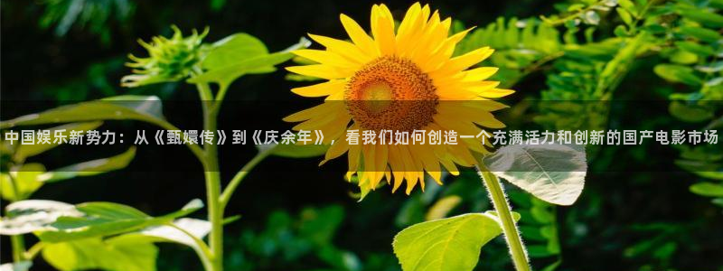 午夜电影网韩国