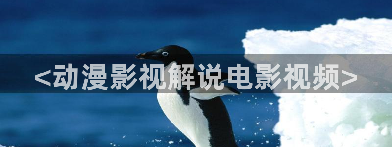神马电影午夜影院