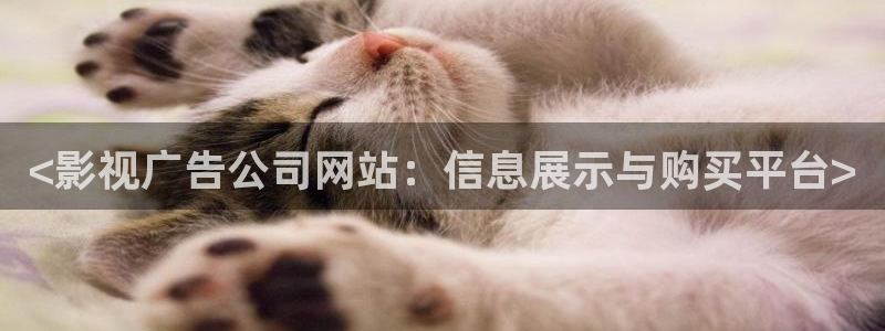 国产性感午夜天堂av