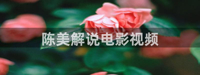 午夜在线影院国产
