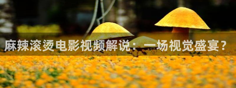 看看屋午夜电影：麻辣滚烫电影视频解说：一场视觉盛宴？