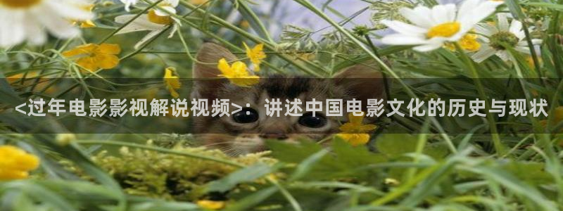 我不卡神马午夜：<过年电影影视解说视频>：讲述中国电影文化的历史与现状