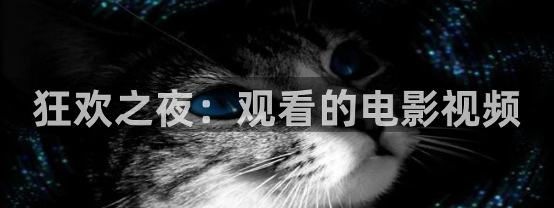 女性午夜影院：狂欢之夜：观看的电影视频