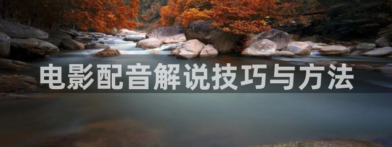 av官网午夜：电影配音解说技巧与方法
