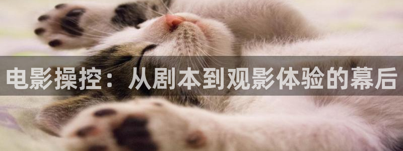 97影院理论午夜：电影操控：从剧本到观影体验的幕后