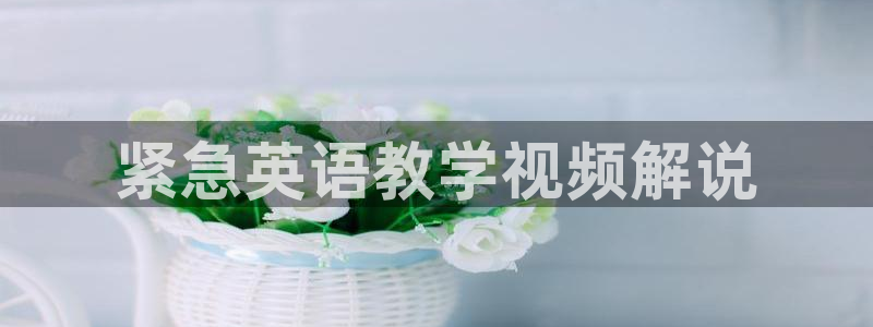午夜看片资源：紧急英语教学视频解说