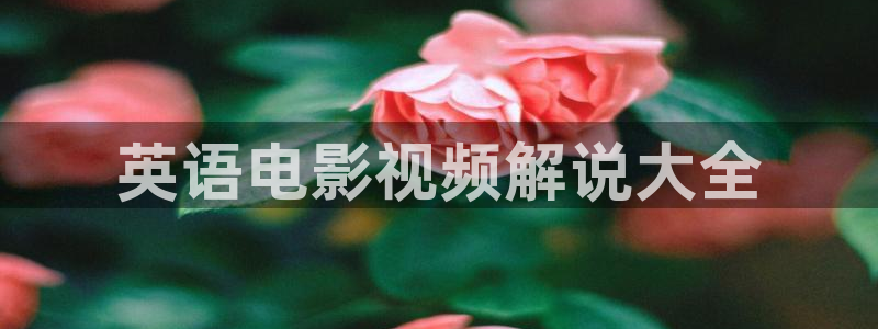 久久久久久亚洲av午夜：英语电影视频解说大全