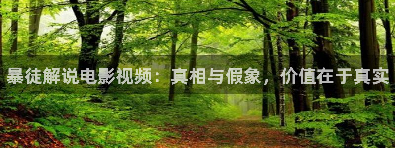 日韩影视午夜：暴徒解说电影视频：真相与假象，价值在于真实