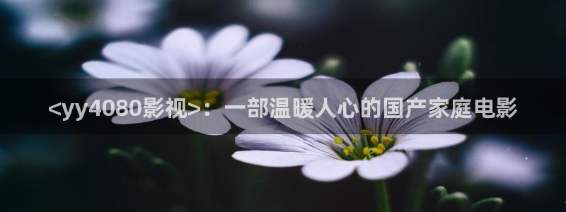 51xx福利午夜电影网：<yy4080影视>：一部温暖人心的国产家庭电影
