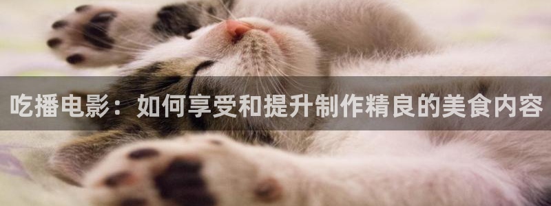 欧美电影午夜：吃播电影：如何享受和提升制作精良的美食内容