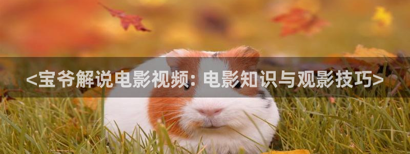 久久影院伦理片,午夜伦理片：<宝爷解说电影视频: 电影知识与观影技巧>