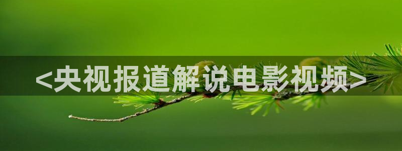 午夜皇片：<央视报道解说电影视频>