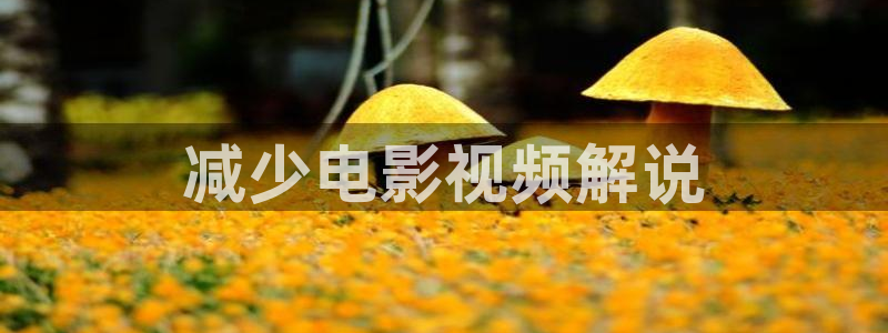 欧美日韩午夜在线观看：减少电影视频解说