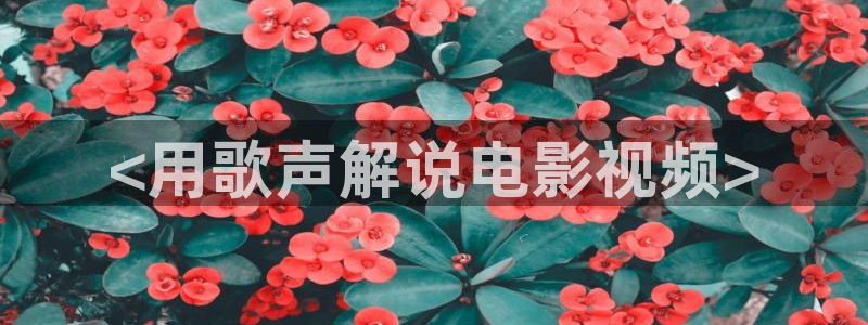 电家庭影院午夜：<用歌声解说电影视频>