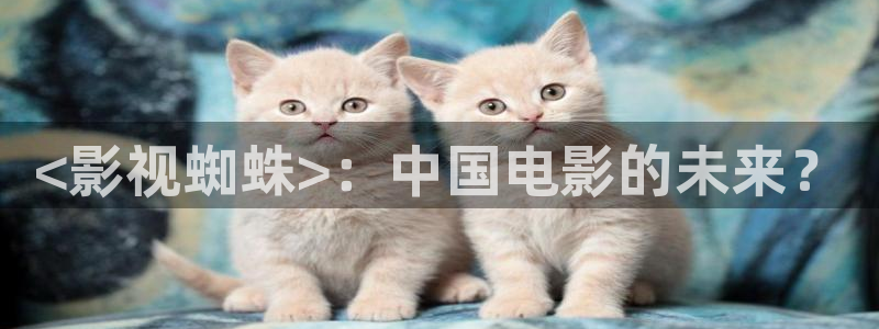 八戒午夜神马影院：<影视蜘蛛>：中国电影的未来？