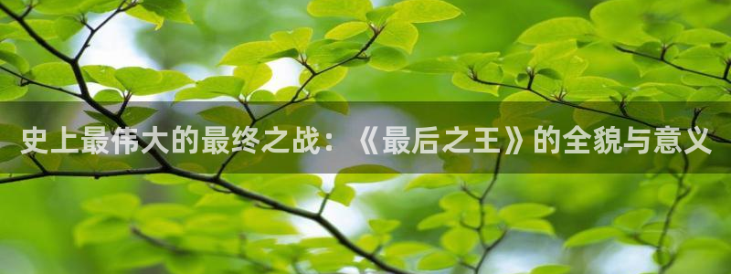 午夜欧美福利影院：史上最伟大的最终之战：《最后之王》的全貌与意义