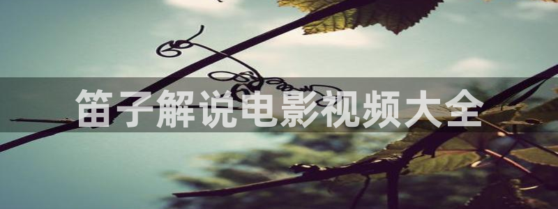 6080私人午夜影院：笛子解说电影视频大全