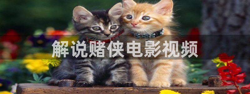 天天午夜电影