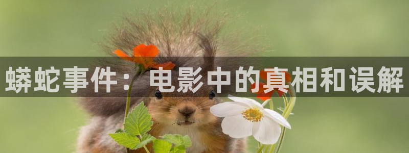 午夜dj影院在线观看