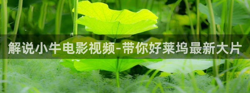 午夜高清福利视频在线观看