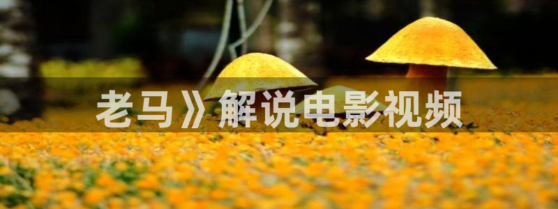 少妇午夜性影院