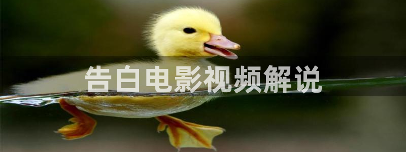 午夜高清免费在线