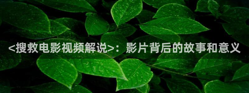 爱在午夜降临前在线免费观看