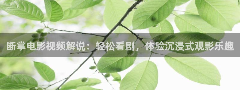 神马电影午夜电影