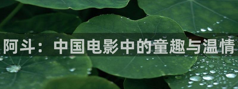 成人午夜黄色影院