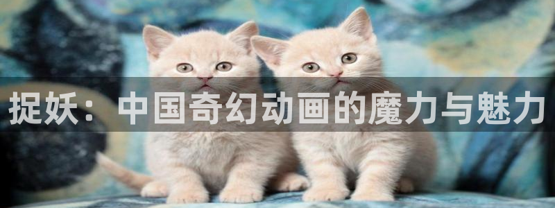 午夜个人电影