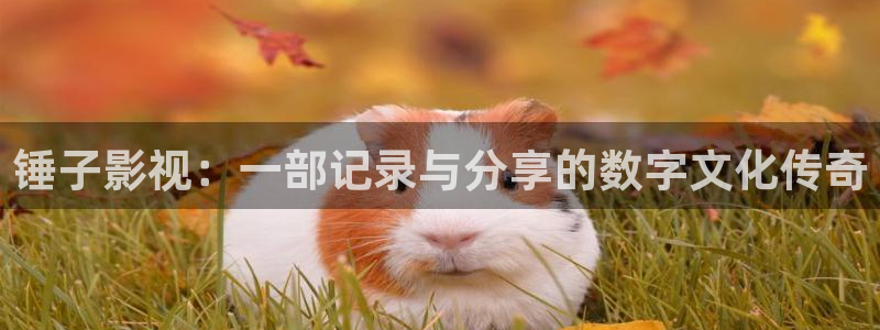 午夜秋霞伦理片