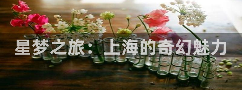 国产一级午夜黄色片