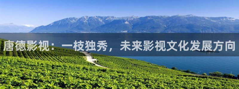 午夜电影网欧美一区