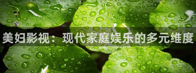 午夜电影a在线观看