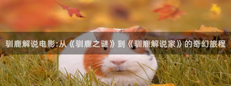 欧美午夜片在线观看