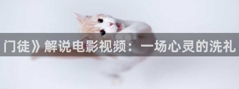 美女视频午夜影院