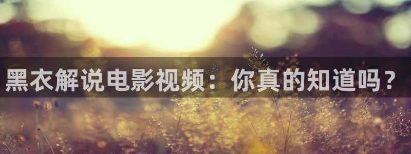 yy4480午夜伦理在线观看