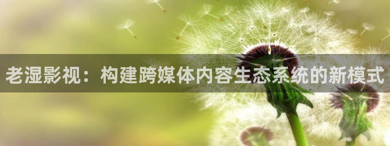 成人免费午夜野花影院