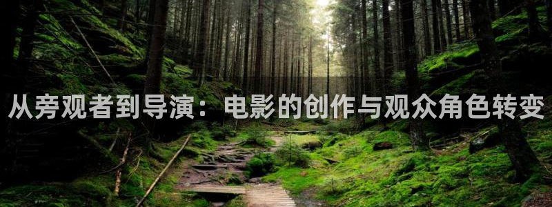 欧美午夜影院福利
